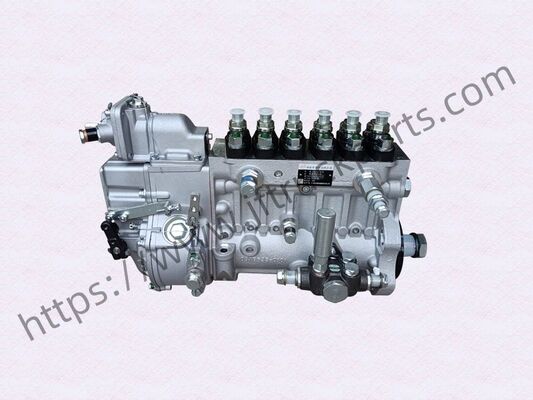 SHAC pièces de camion Weichai WP12.430E201 pompe à injection de carburant 430HP 1001671519