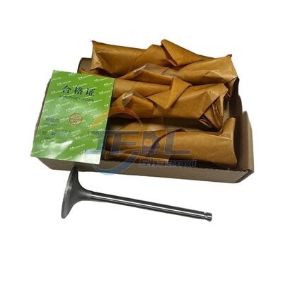 Pièces de camion d'origine de haute qualité 4995554 4994143 Soupapes d'admission et d'échappement Accessoires pour Dongfeng 6W Modèle B19033